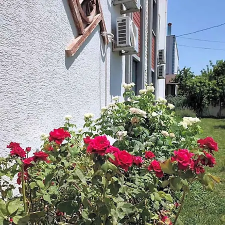 Geyikli Sahilde 1+1 Cati Kati B1 Hotel Ezine